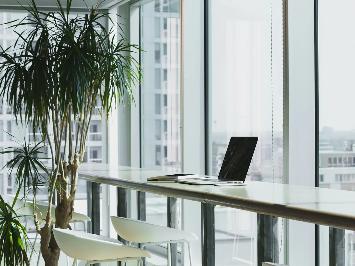 Heller Arbeitsplatz am Fenster mit Laptop und Pflanzen